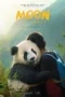 moon-the-panda