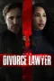 the-divorce-lawyer